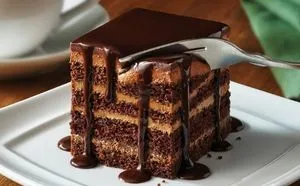 Chocolate Lasagna (V) $12.29